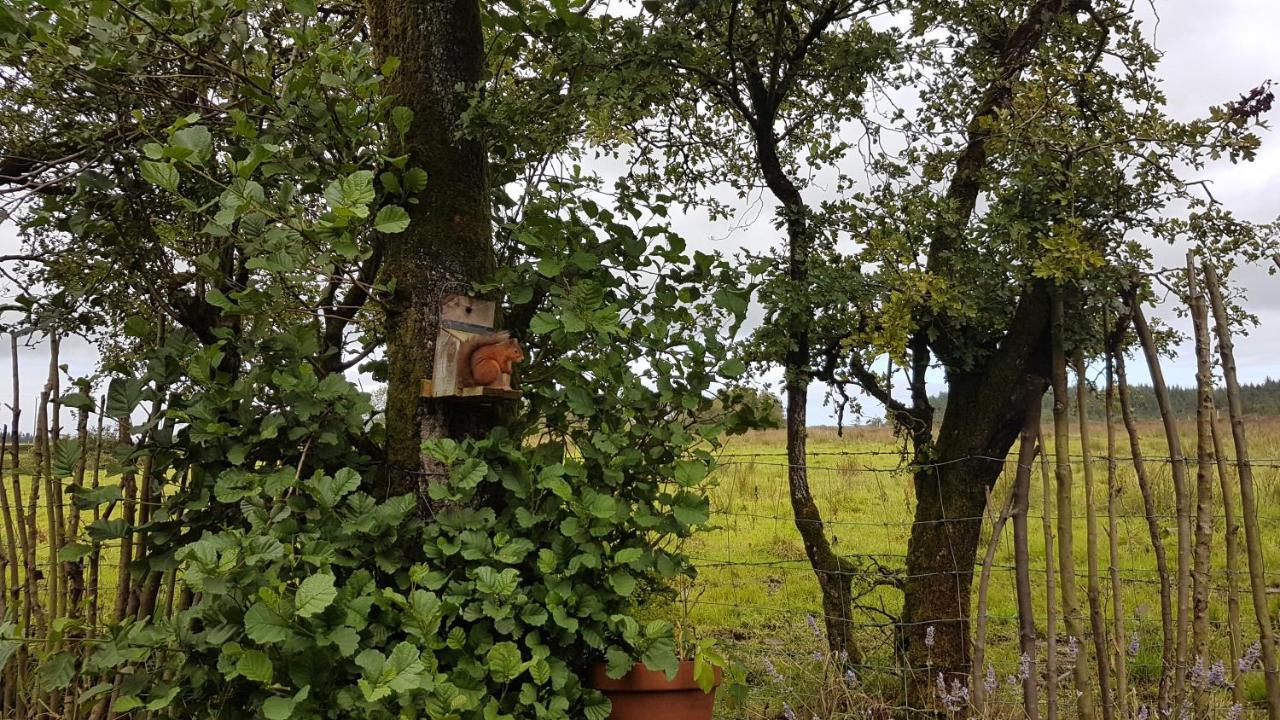 Cosy Cottage On The Causeway Coast And Glens Ballycastle Bagian luar foto